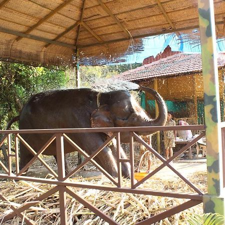 Shangri La Jungle Village Molem Luaran gambar