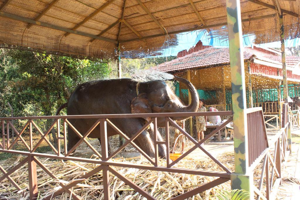 Shangri La Jungle Village Molem Luaran gambar
